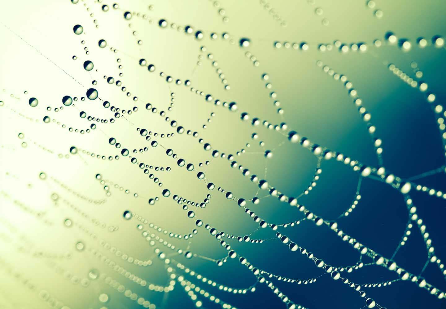 The Two Spiritual Approaches