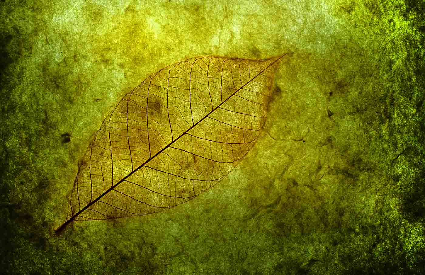 Depression: The Yogic View