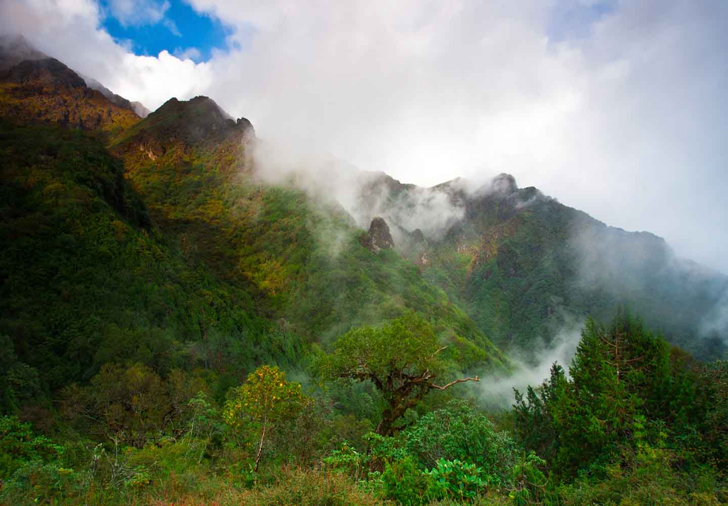 The Whole Nine Minutes