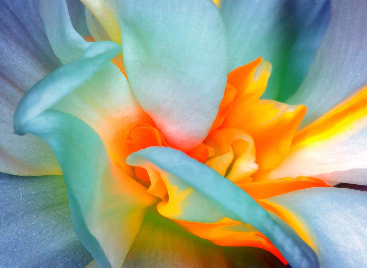 Mauna: The Practice of Observing Silence