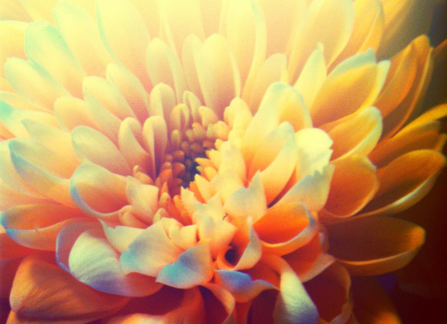 Autism — My World - Your World