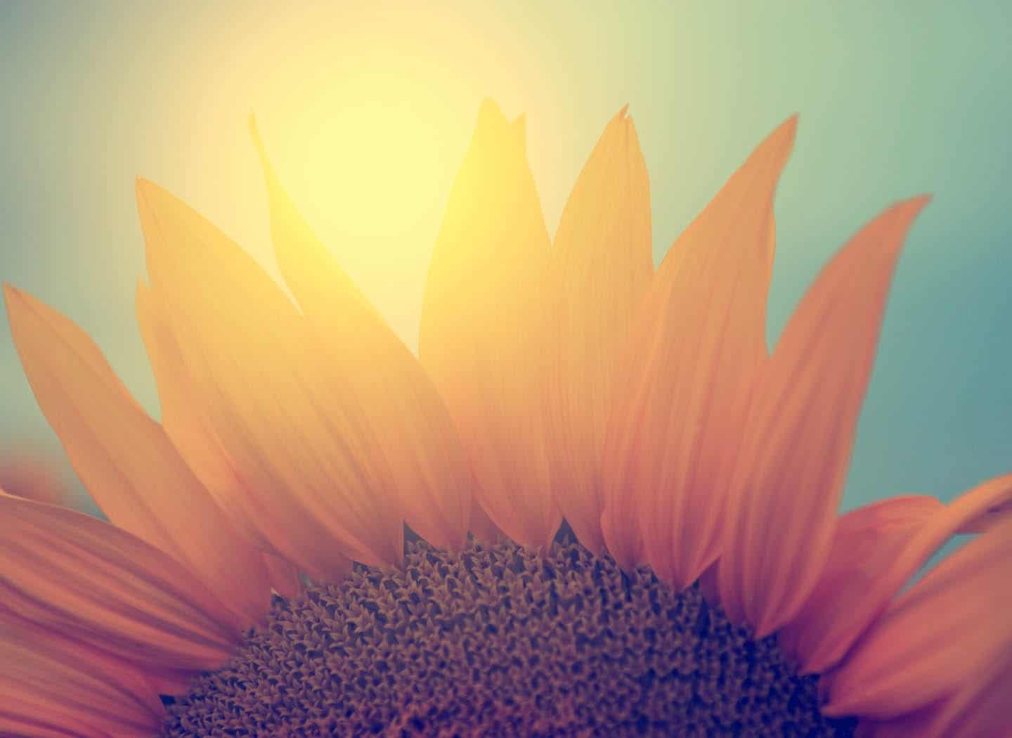 The Art of Being Positive