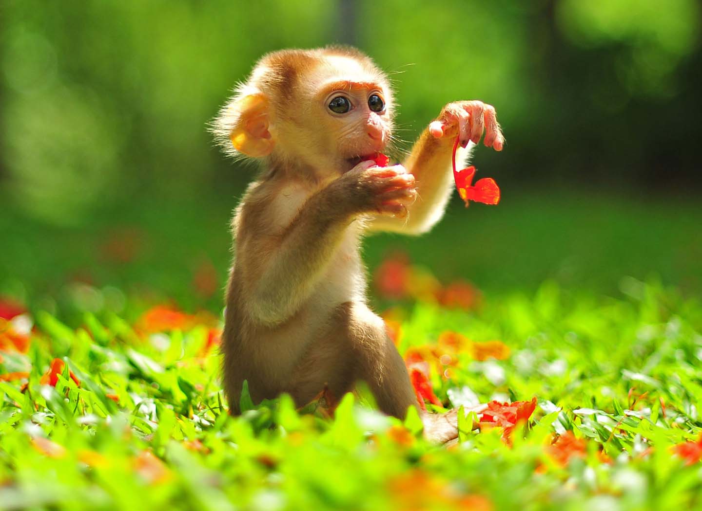 Restlessness in Meditation