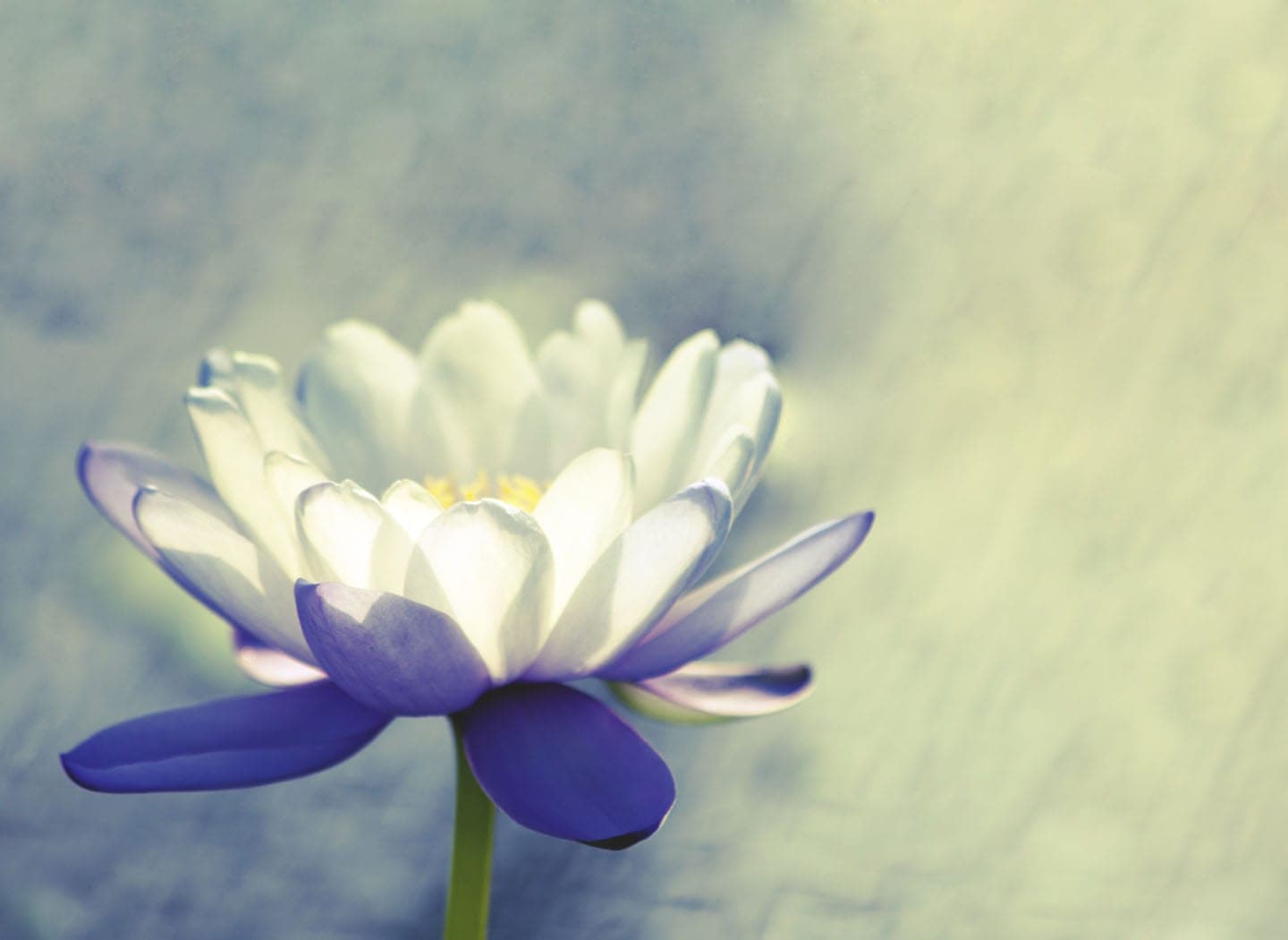 The Truth of Death [Hindi]