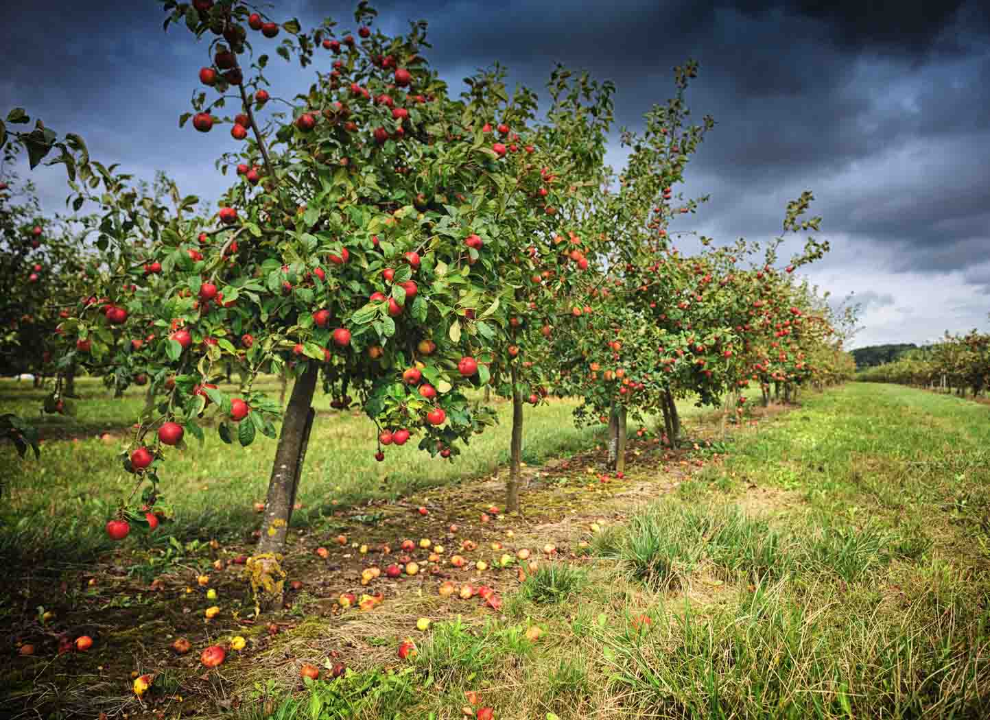 The Practice of Tolerance