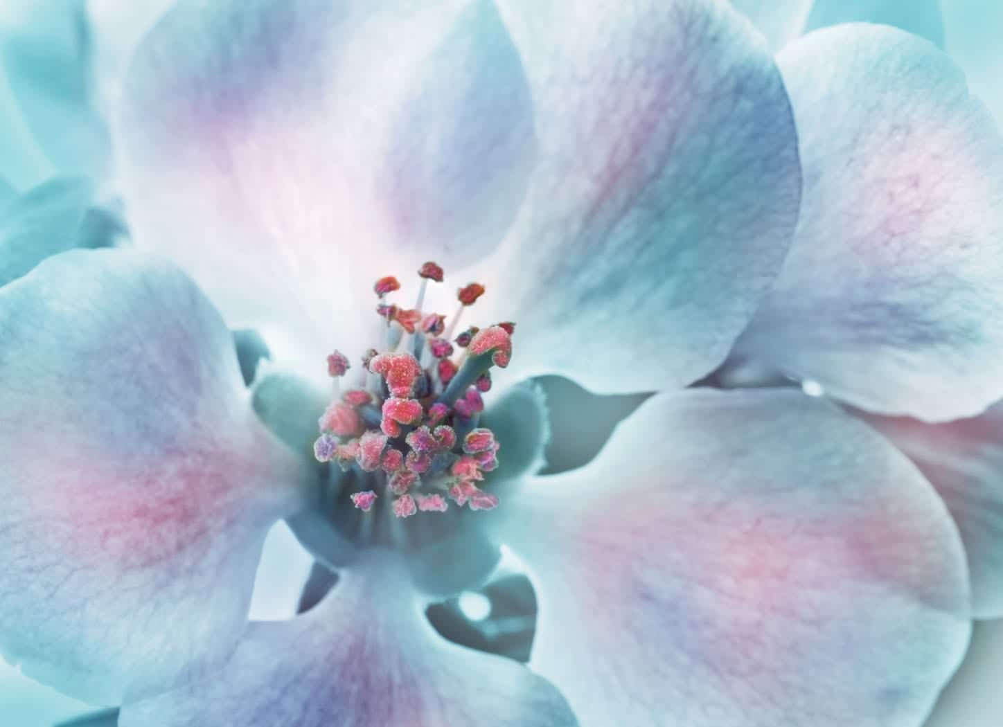 Sex and Spirituality