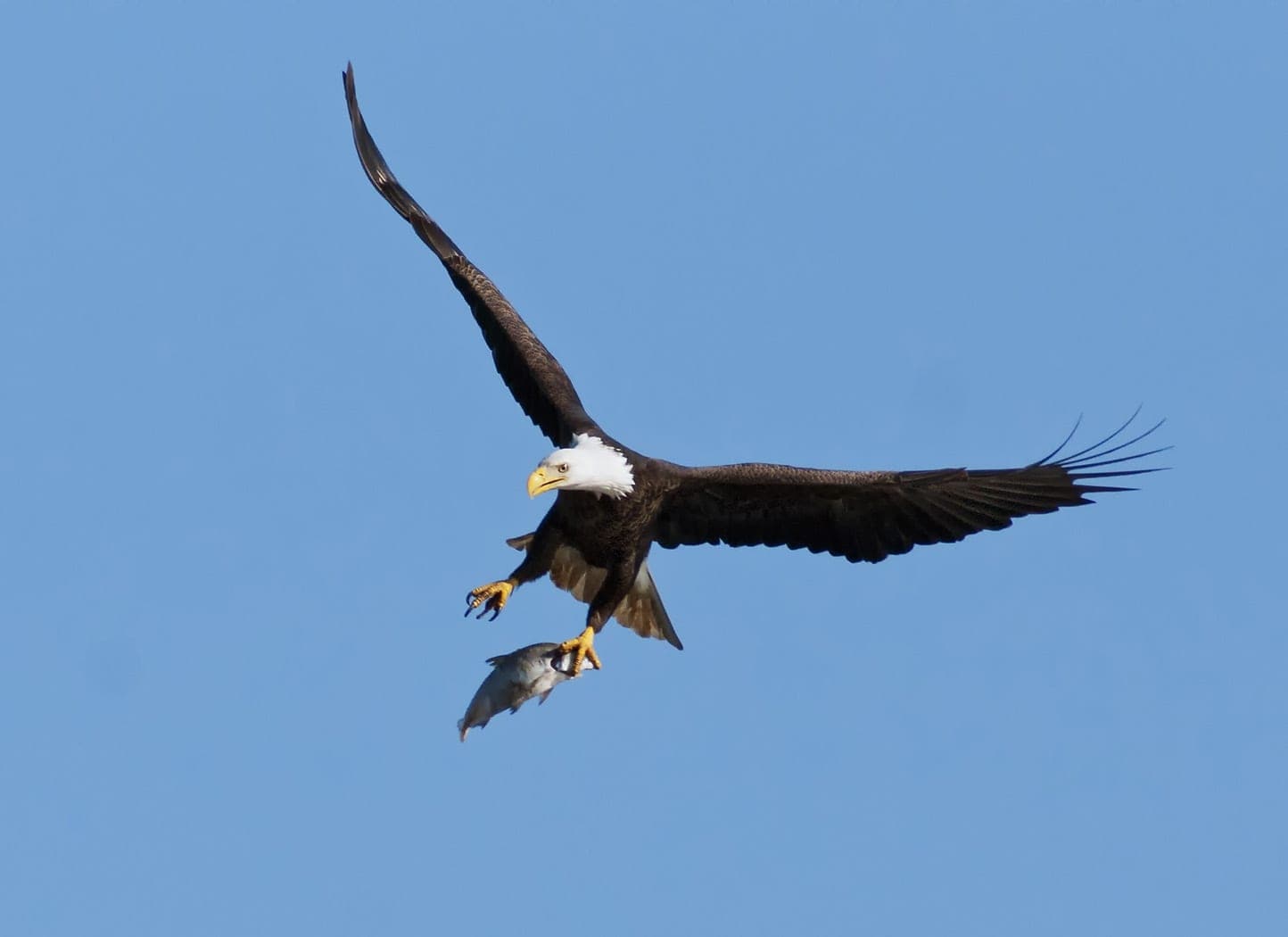 Why do People Love or Hate You?