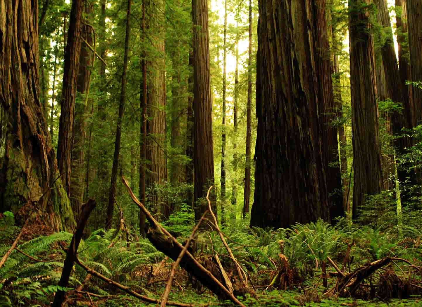 What is this world about?