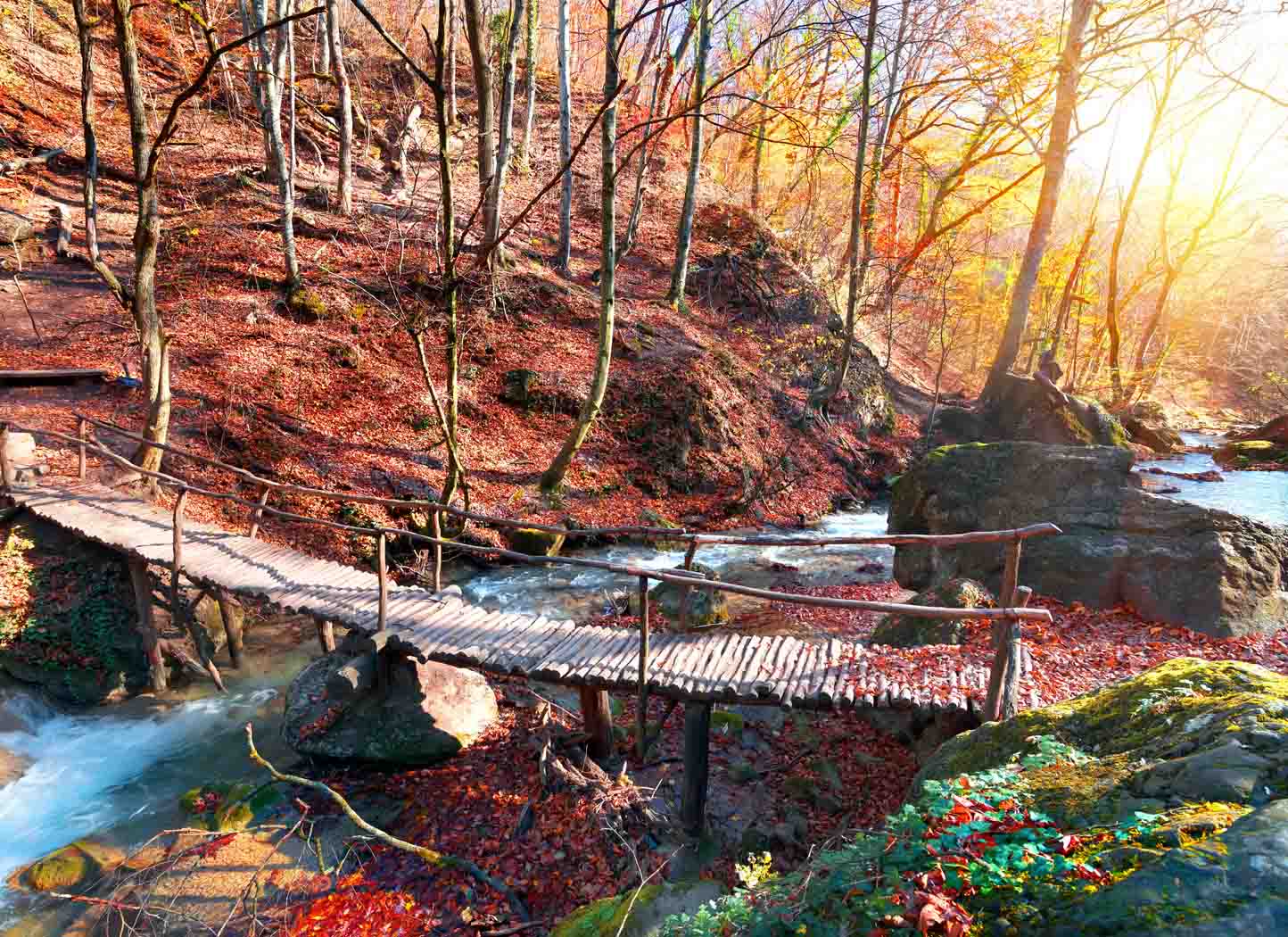 Afraid of Getting Old?