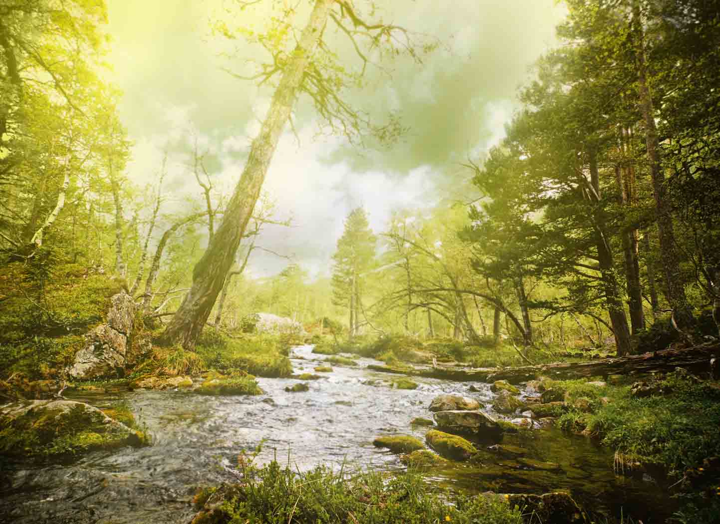 What's in Your Wallet?