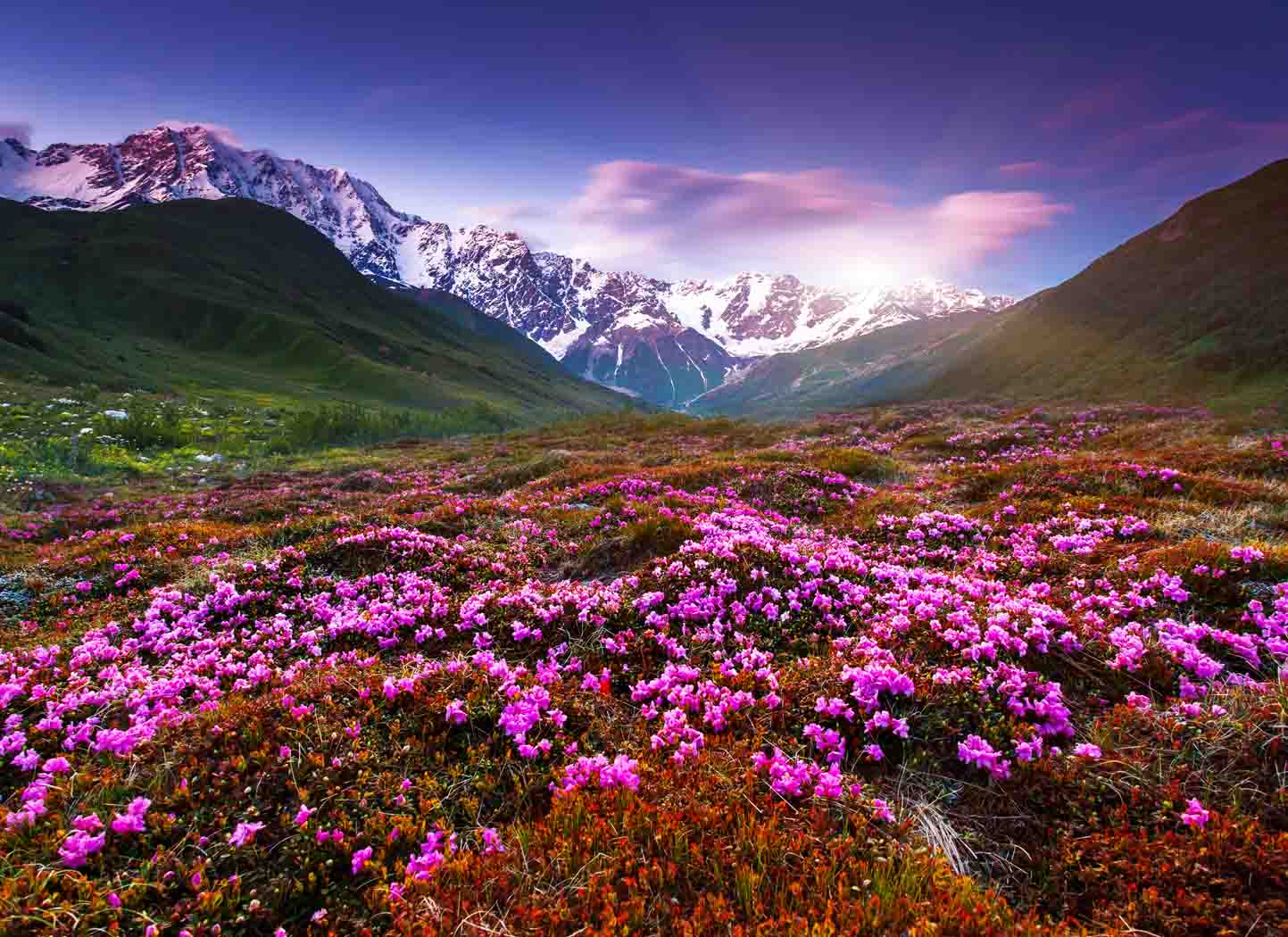 Why do Women Dress Up?