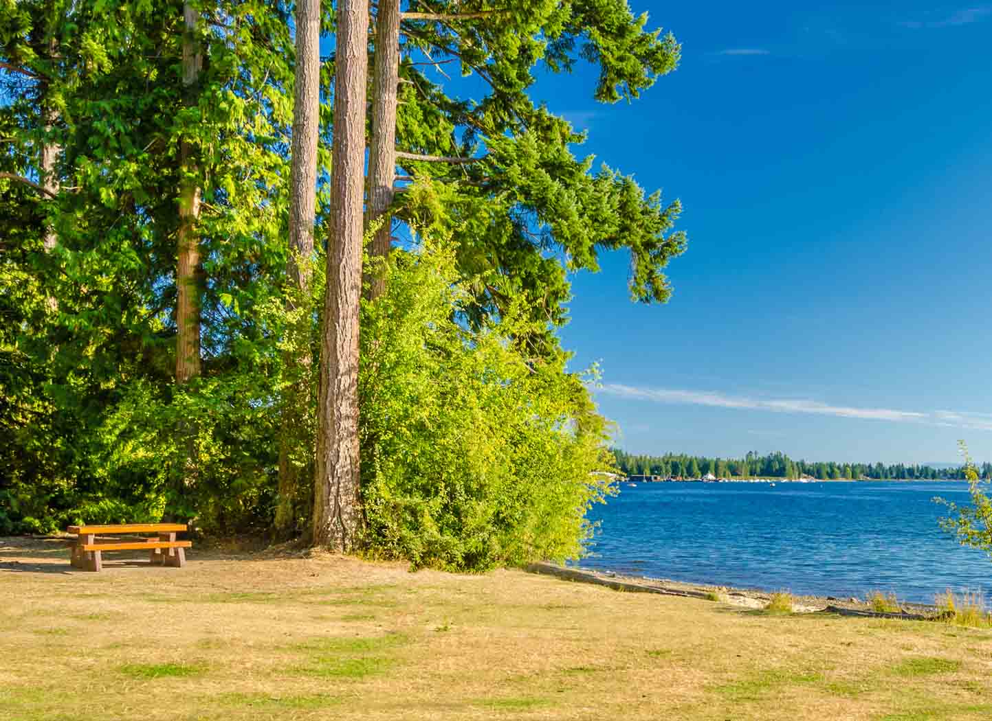 Why do People Get Bored?