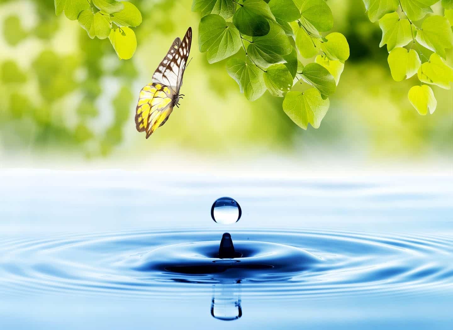 Dealing with the Loss of a Loved One