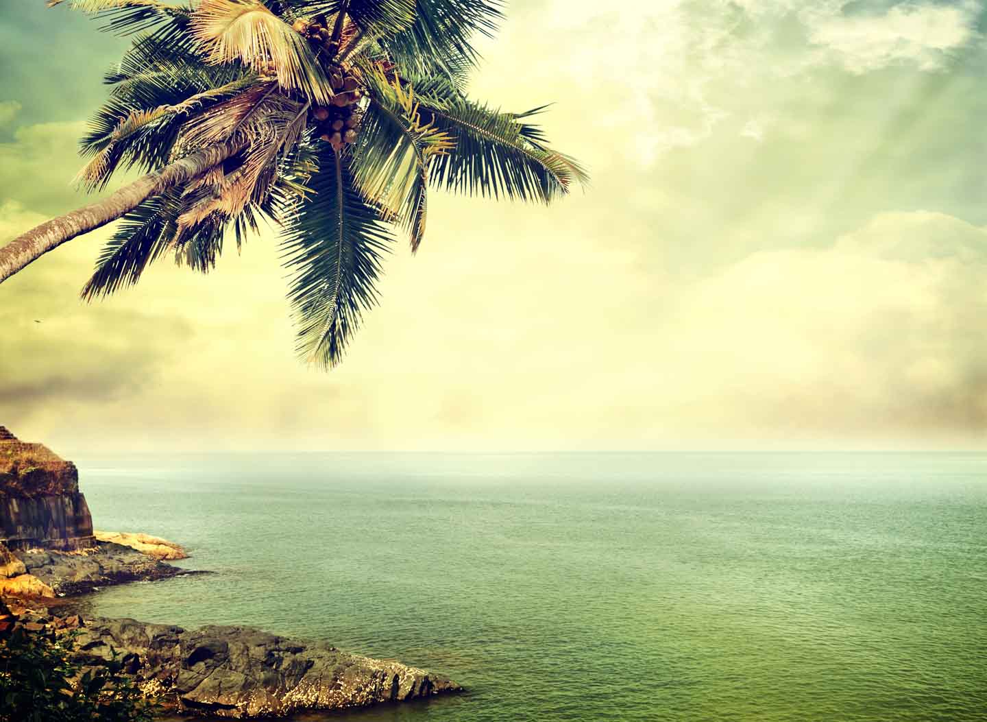 The Most Fundamental Human Desire