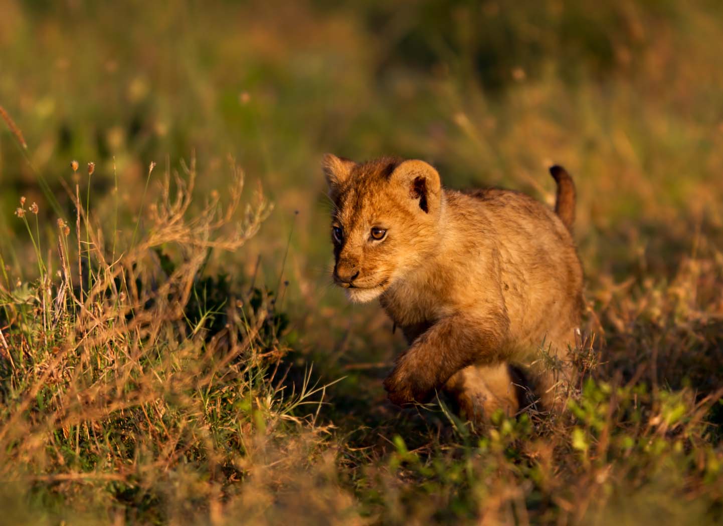 The Two Realizations