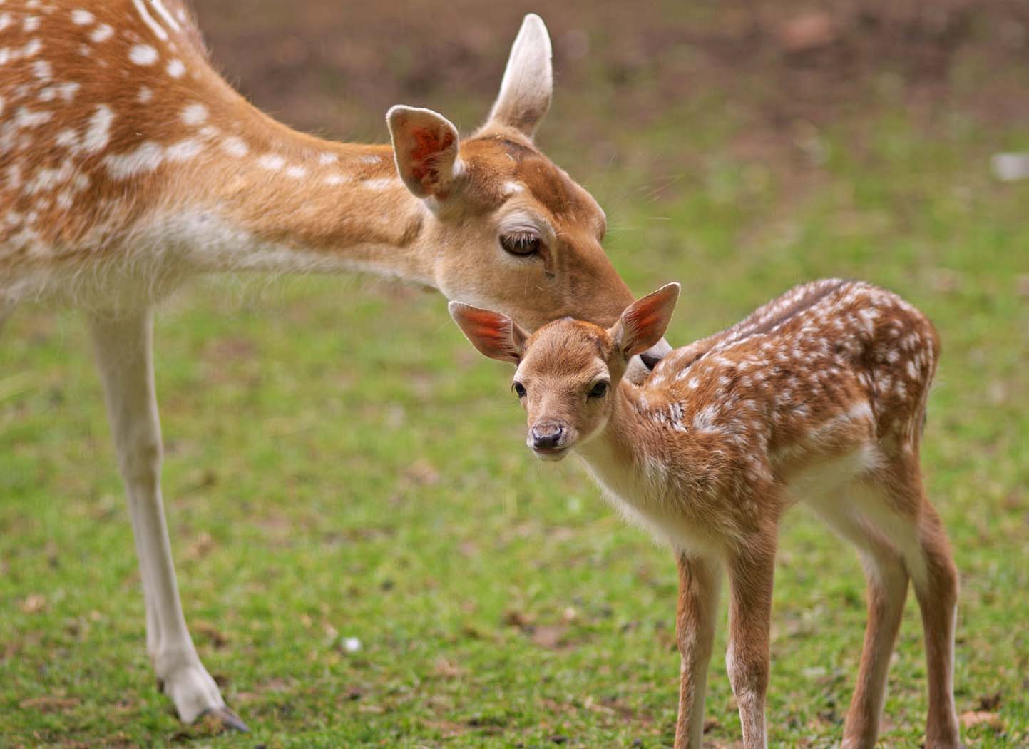 Have I been a Bad Parent?