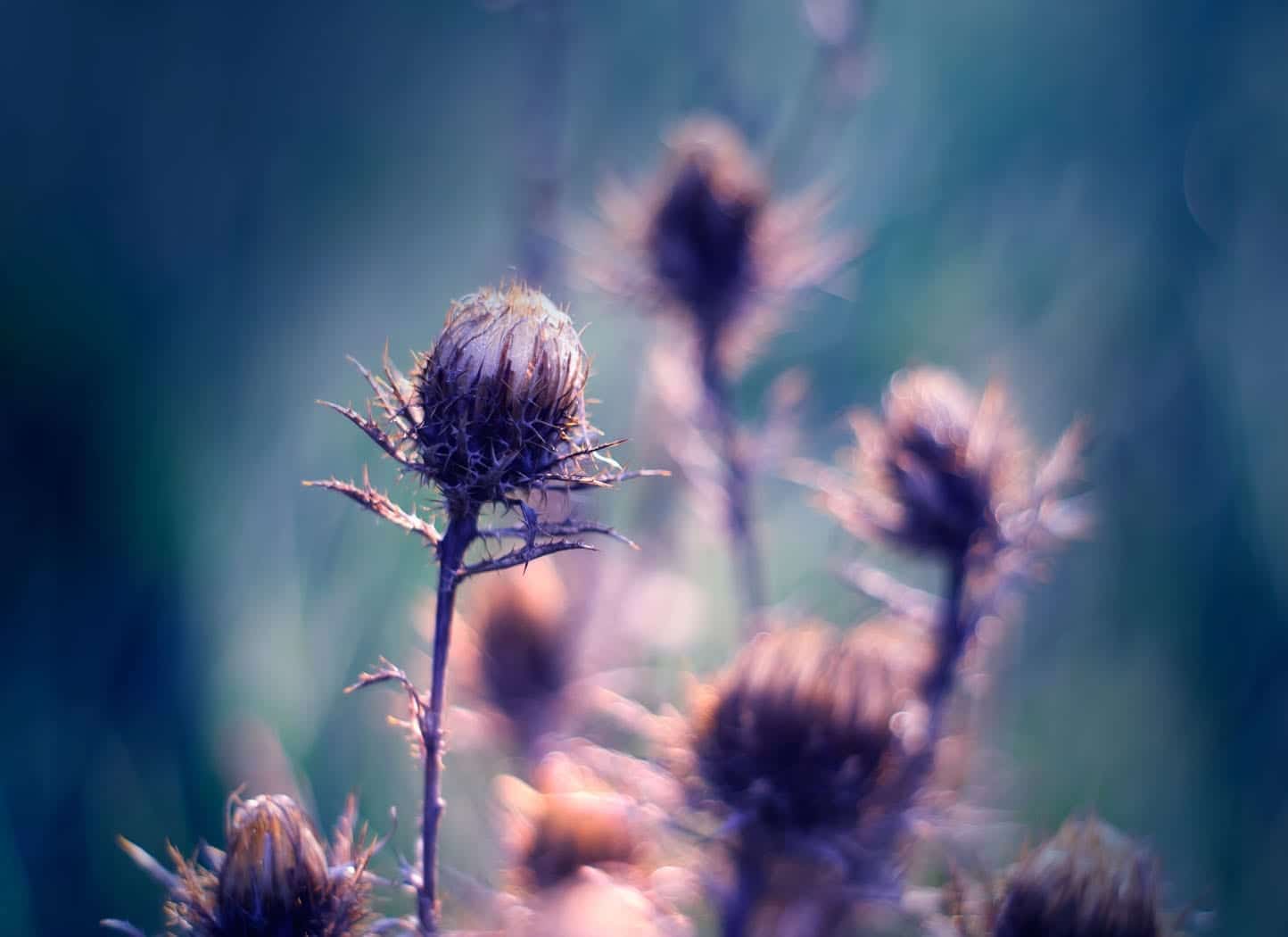 Why Hurting is Easier than Healing?