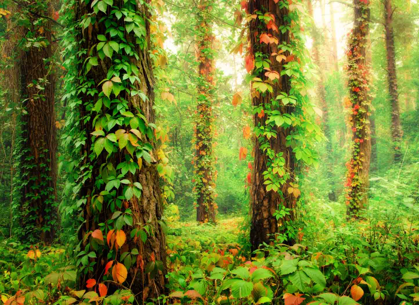 Discovering Your Purpose In Life