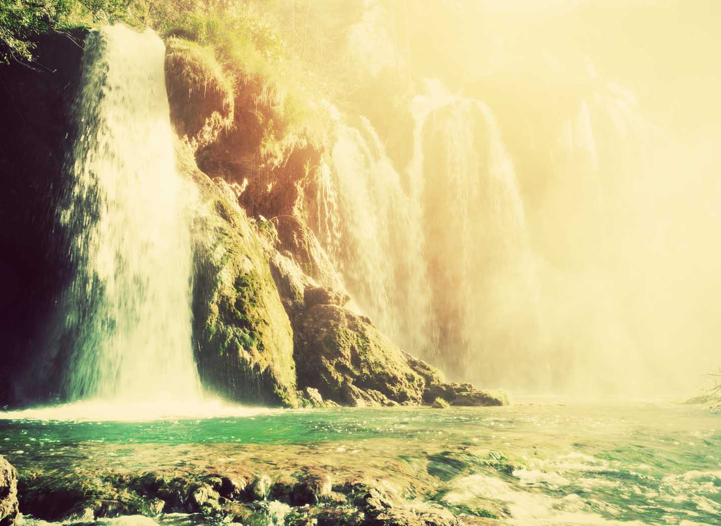 Dealing with Terminal Illness