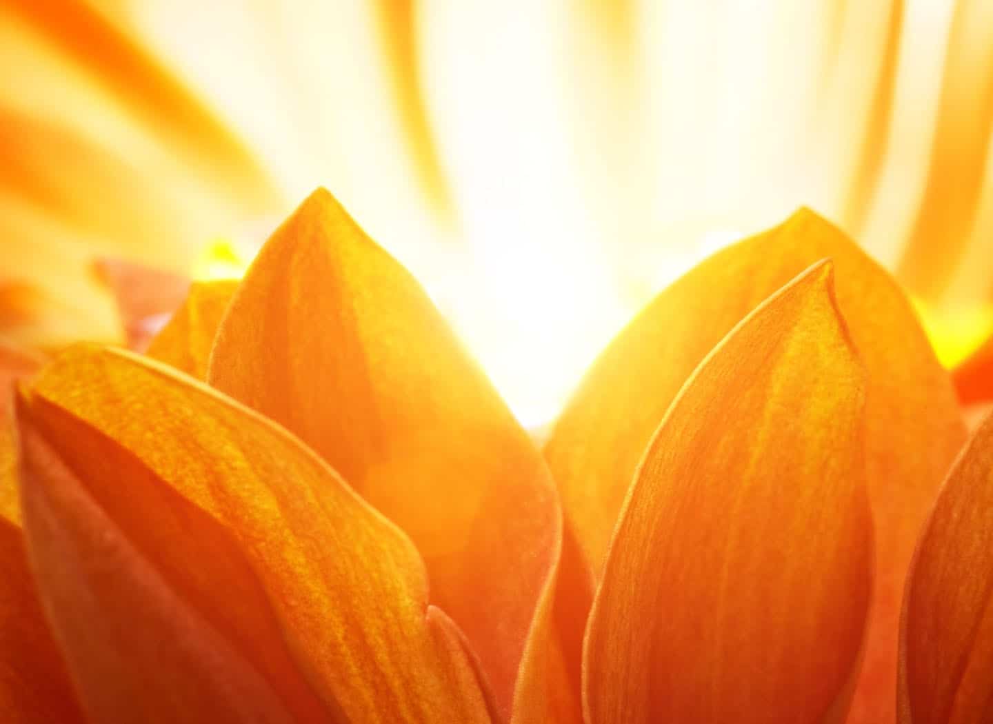 Single Parents and Broken Marriages