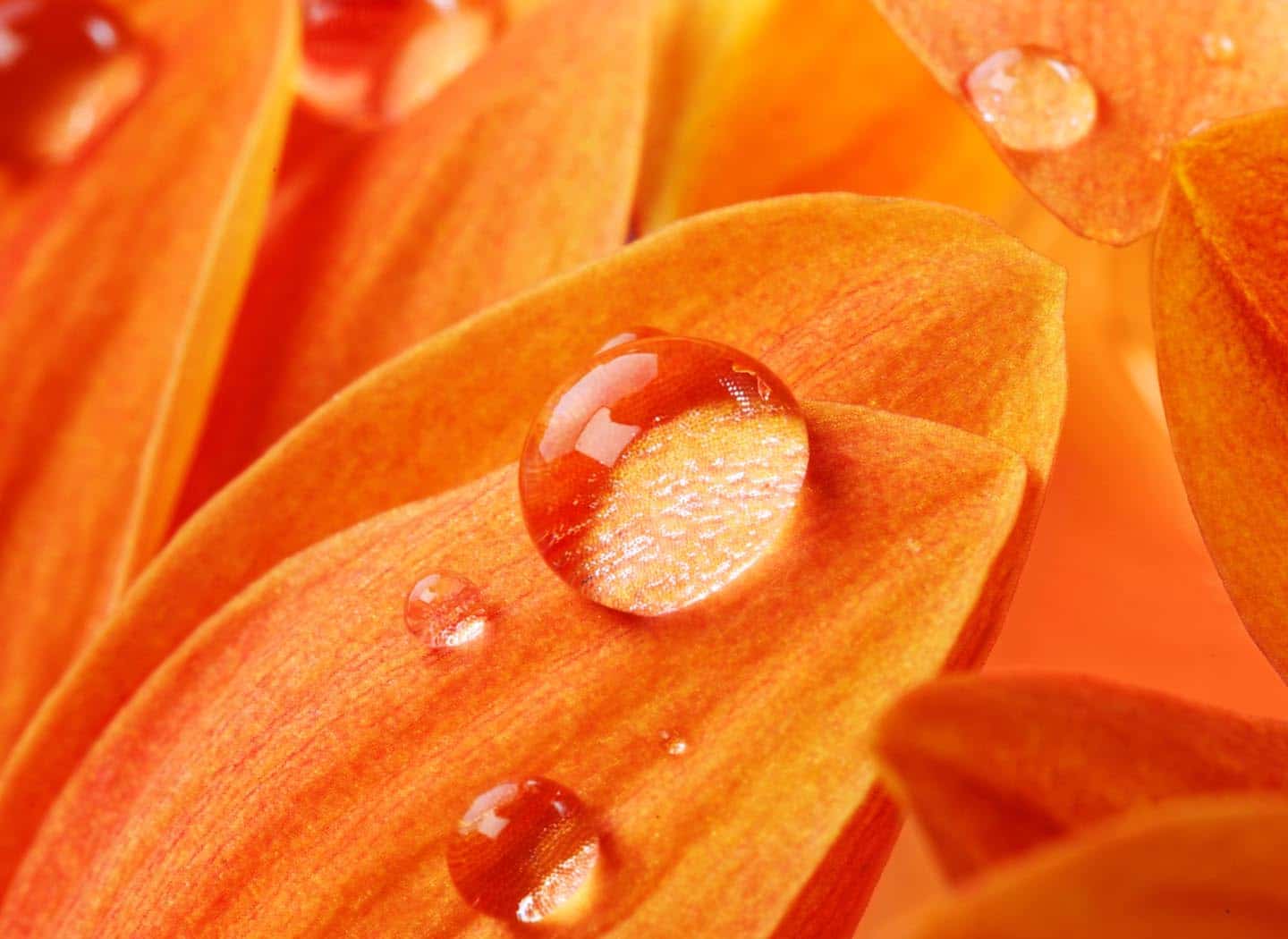 The Source of Emotions