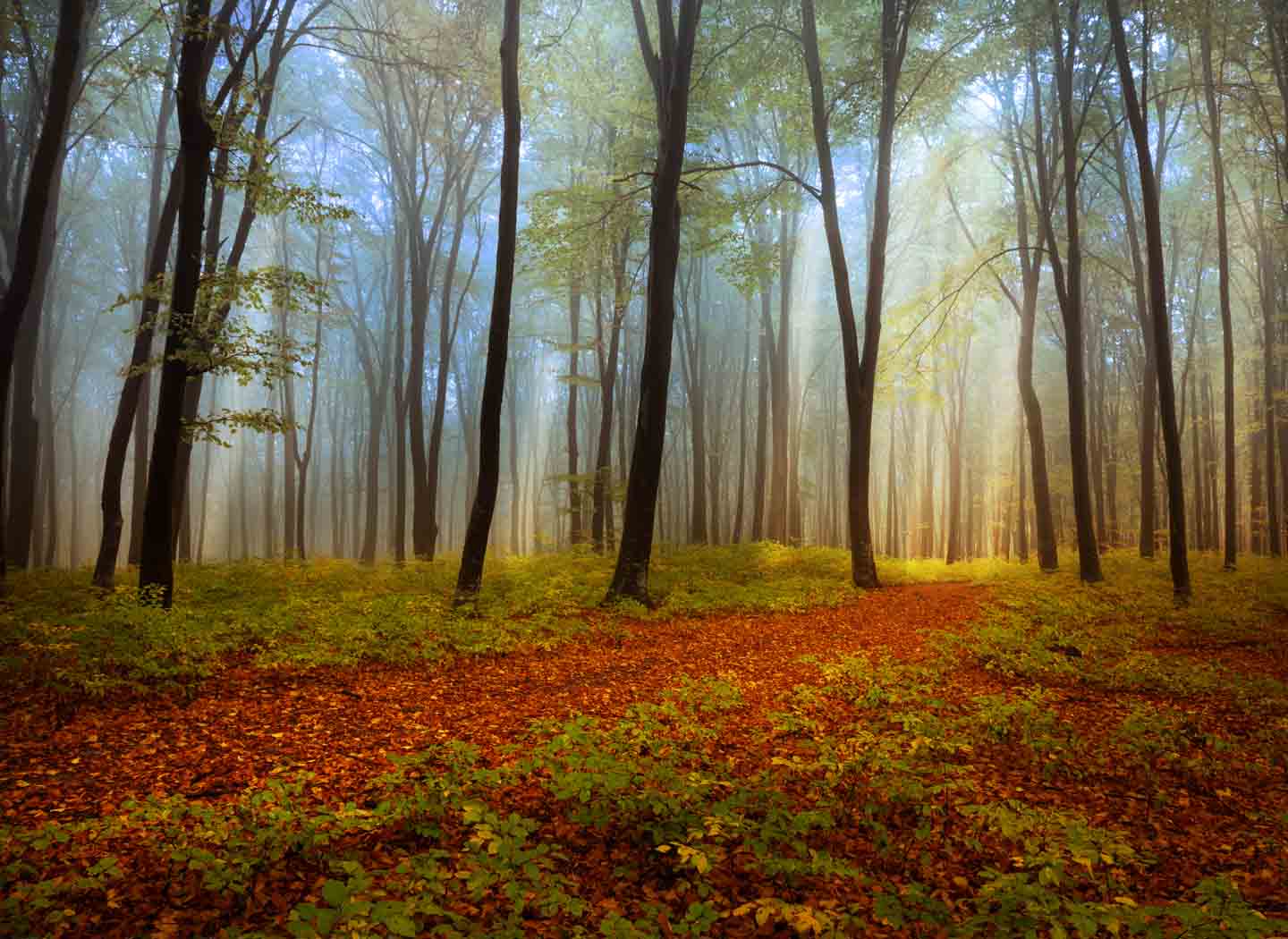 How to Keep New Year's Resolutions