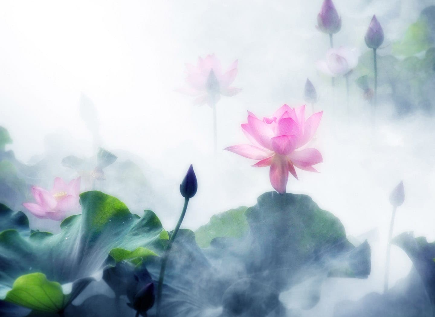 Nine States of Awareness