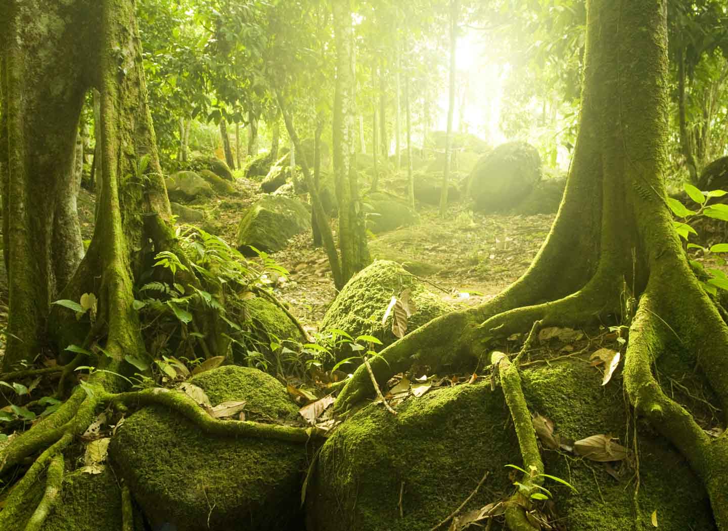 How Do You Know What You Know?