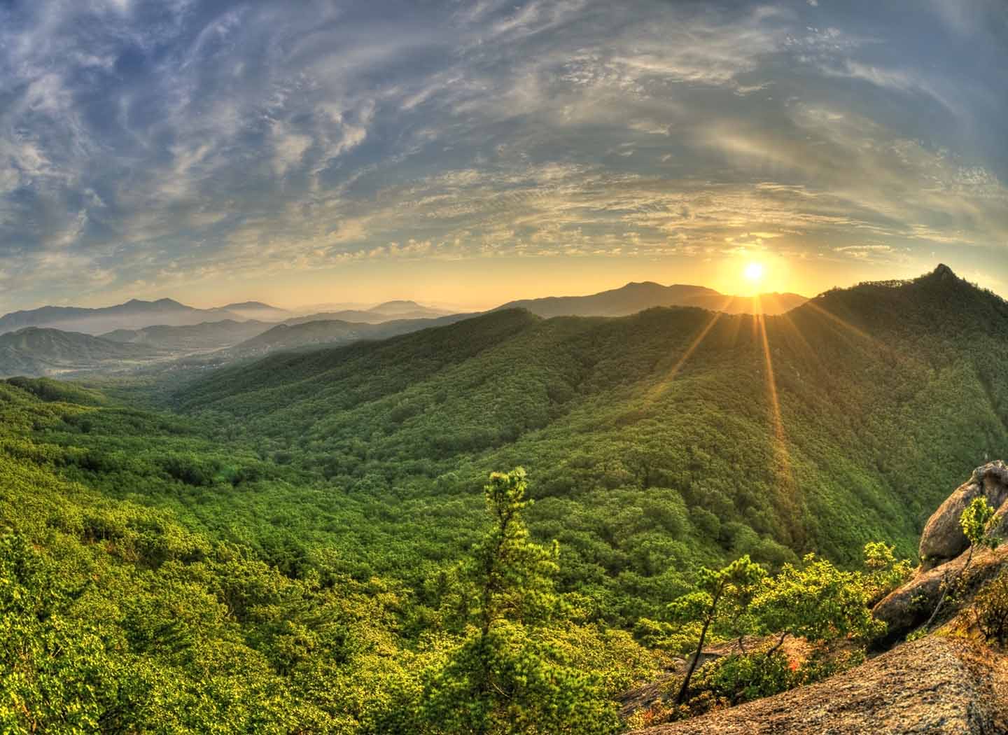 Seeing Past Yourself