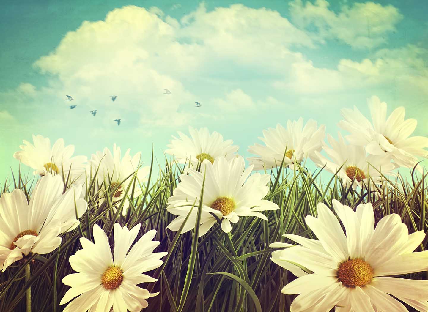 What is Your Opinion About Yourself?