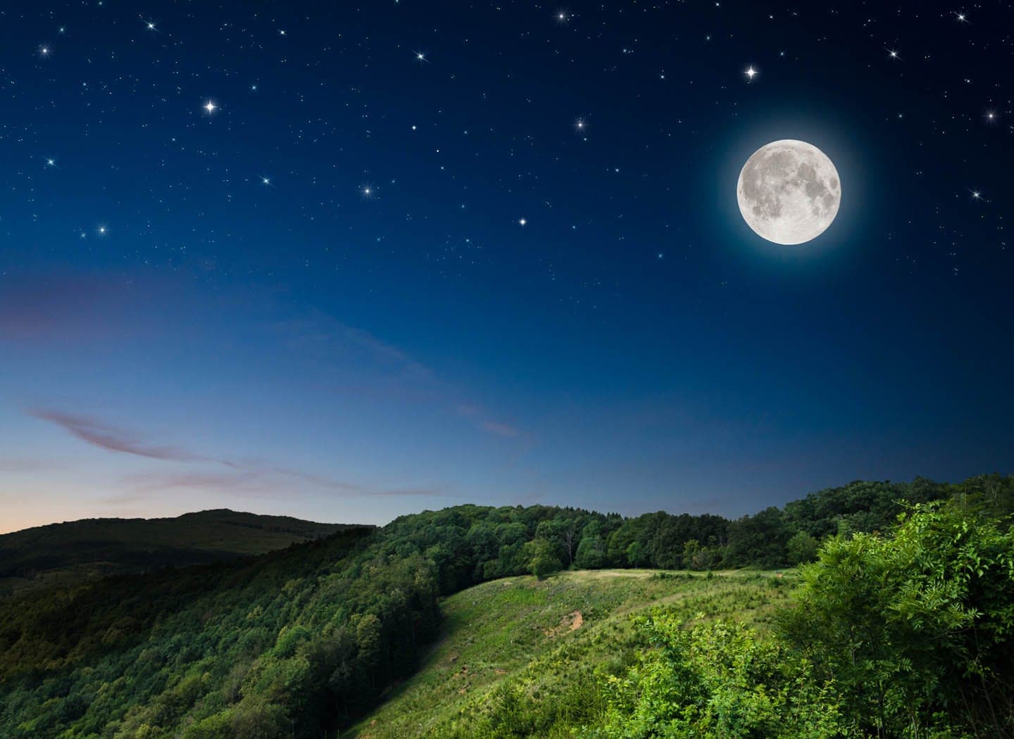 Why do Your Plans Fail?