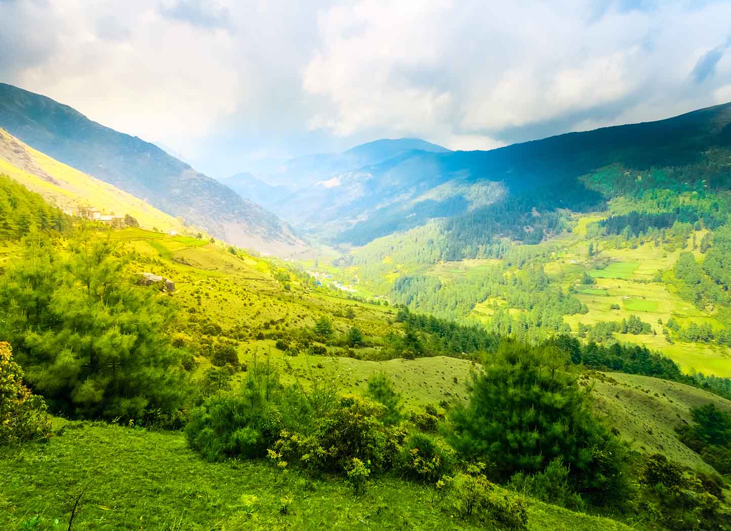 The Mindful Chatterbox