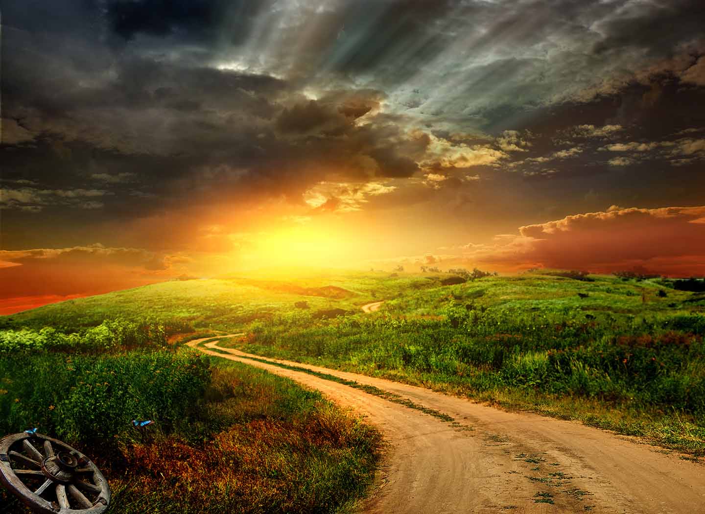 The Calling of Happiness