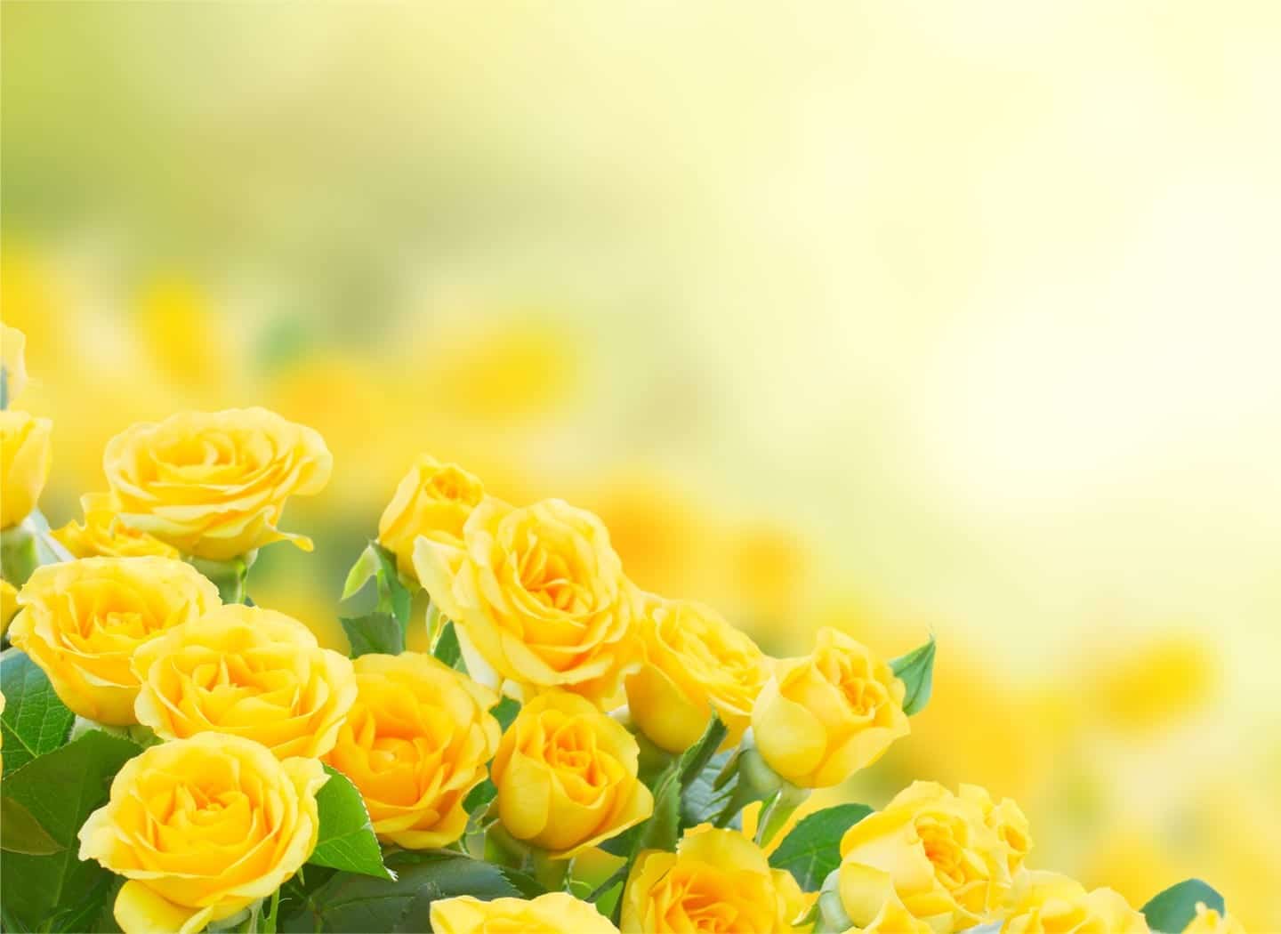 What Could I Have Done?