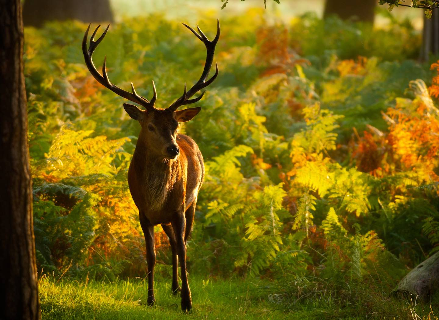 When Your Words May Hurt...