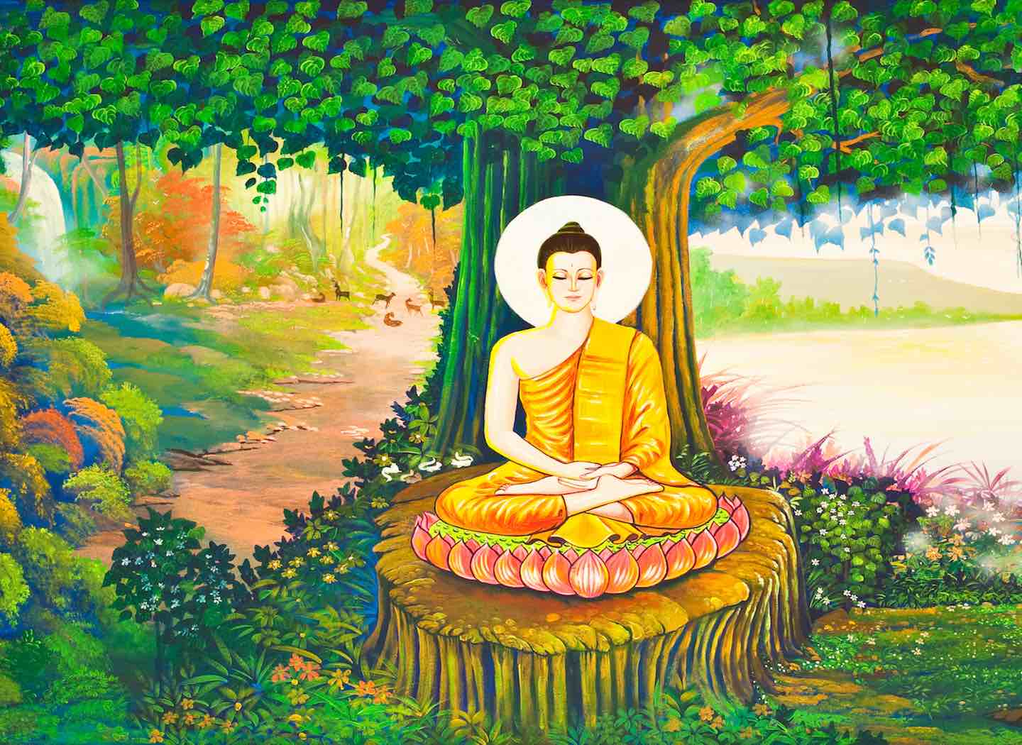 A Spiritual Attitude