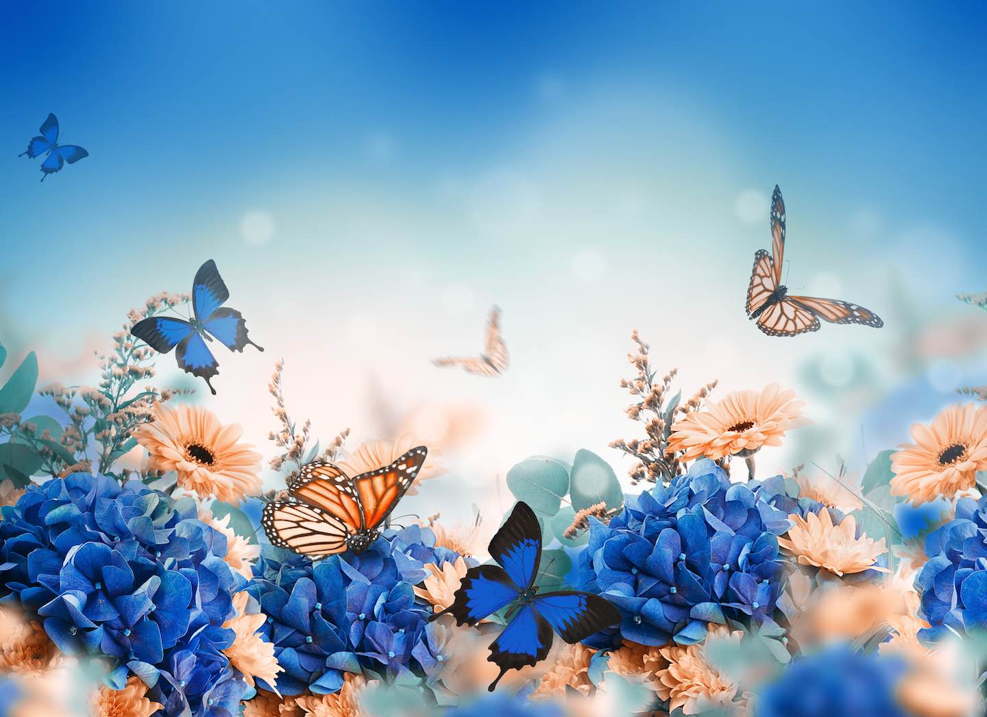 The Butterfly Effect