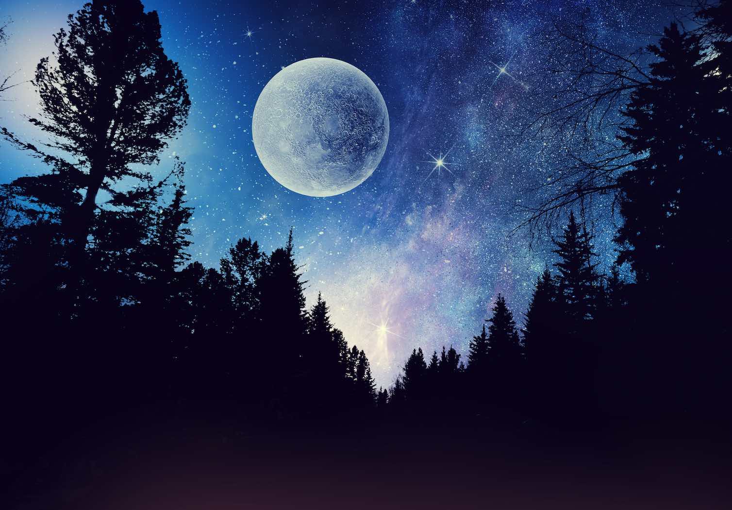 Guru Purnima